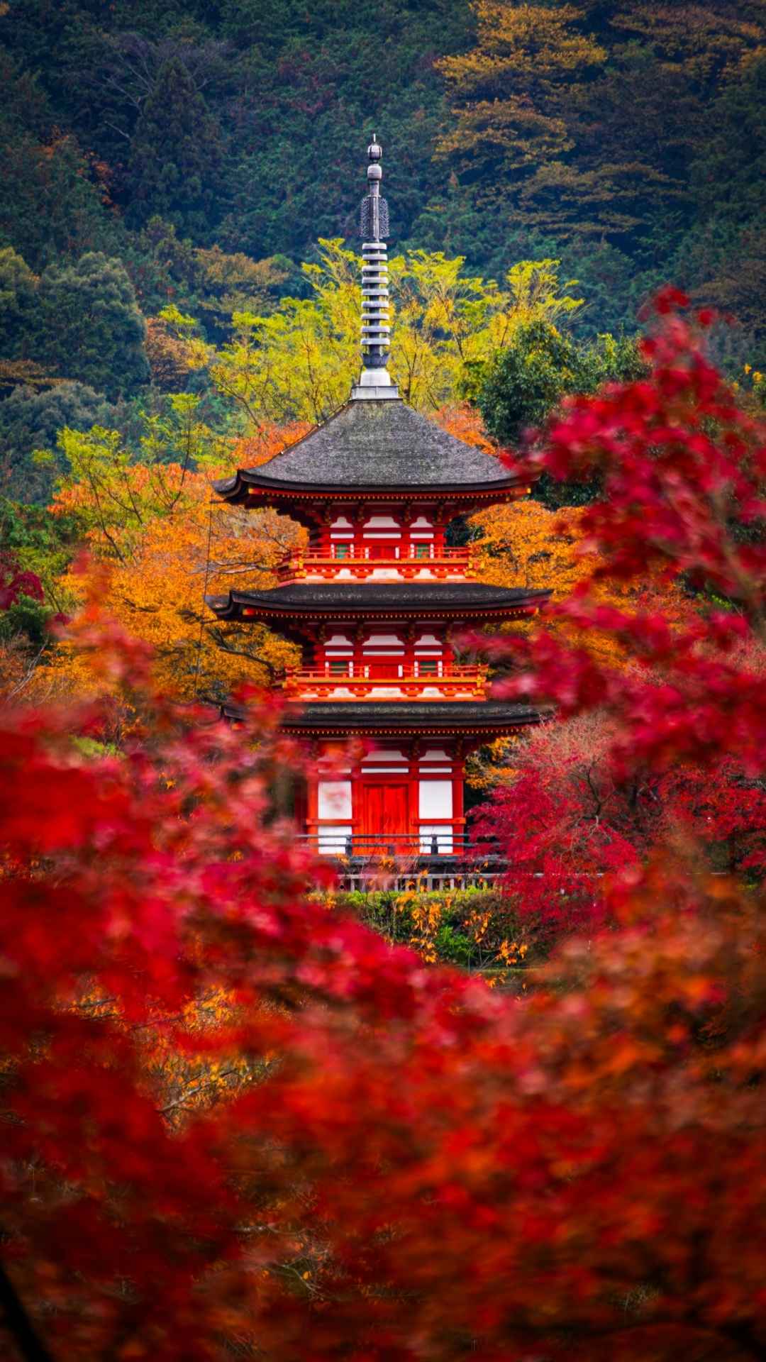 A Japanese pagoda surrounded by autumn foliage
